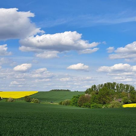 Grosszuegige Wohnung Am Comberg-Park Mettmann Luaran gambar